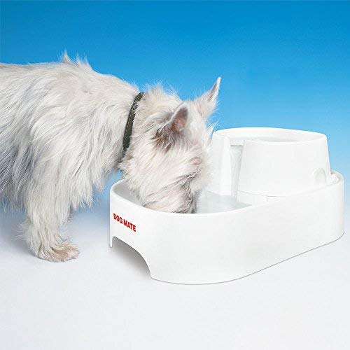 Petmate Dog Mate - Fuente Grande para Beber Agua Dulce para Perros y Gatos
