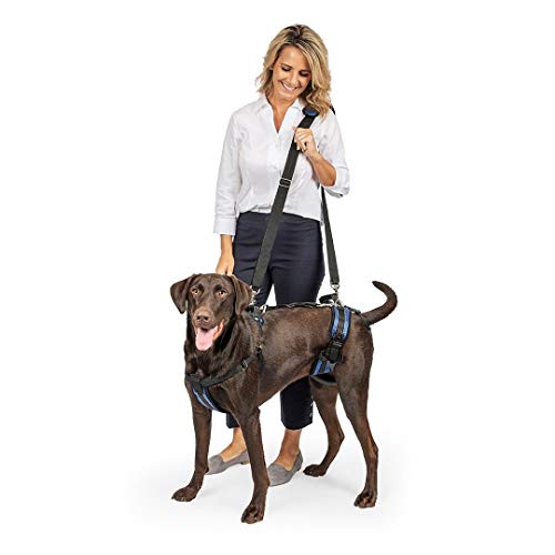 PetSafe Arnés de soporte CareLift - Ayuda para levantar el cuerpo completo con asa, Excelente para la movilidad de mascotas y perros mayores, Material cómodo y transpirable, Fácil de ajustar - Grande