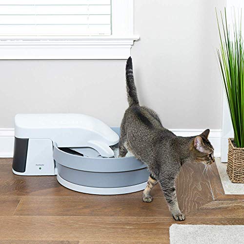 PetSafe - Caja de Arena para Gatos autolimpiadora Simply Clean, para Gatos y Gatos