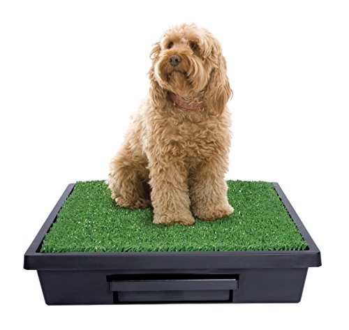 PetSafe - Inodoro portátil para Mascotas con césped Artificial