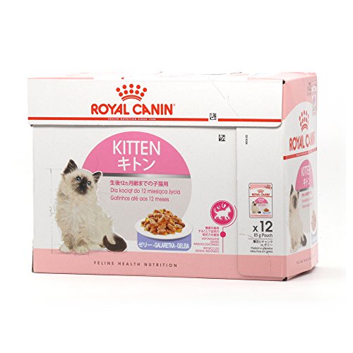 Pienso Húmedo Kitten Instinctive en gelatina 12x85gr Royal Canin