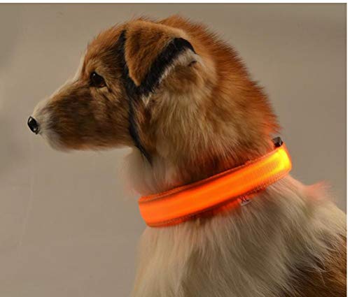 PiniceCore Collar de Perro de Nylon para Mascotas LED, Caja Noche Resplandor Que Destella En La Correa del Perro Oscuro, Suministros Perros Luminoso Fluorescente Collares para Mascotas