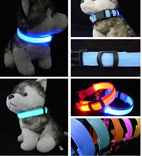 PiniceCore Collar de Perro de Nylon para Mascotas LED, Caja Noche Resplandor Que Destella En La Correa del Perro Oscuro, Suministros Perros Luminoso Fluorescente Collares para Mascotas