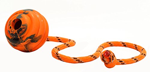 PlayfulSpirit Pelota de Goma con Cuerda – Juguete para perros – Pelota de adiestramiento para perros - Juguete de Tamaño Medio para Jugar a la Captura, la Cogida, para Lanzar y Halar