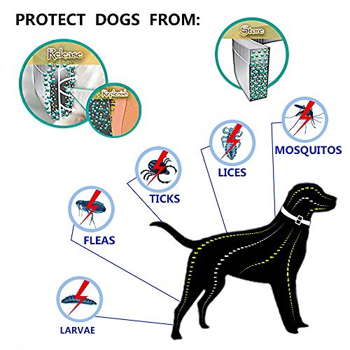 ProHomer Collar Antiparasitario para Perros contra Pulgas(8 Meses Protección), Garrapatas y Mosquitos, Cuello de Control de plagas, Impermeable, (63 cm)