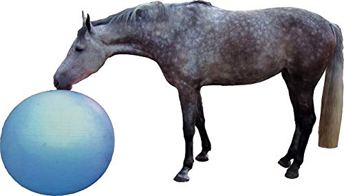 QHP Balón de fútbol Caballos, de Material Resistente, contra el aburrimiento