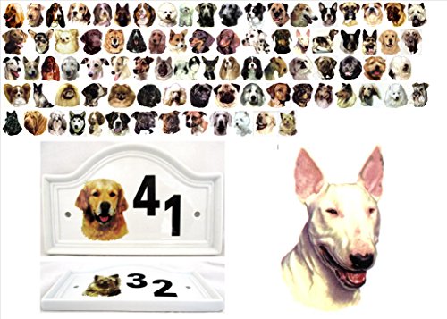 Rainbow Decors Ltd Inglés Bull Terrier casa Puerta Número Placa de cerámica Placa de número de Perro Cualquier número Disponible Decorada a Mano en el Reino Unido Entrega Gratuita Reino Unido