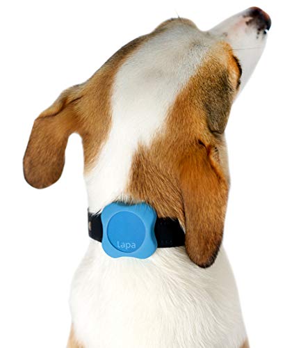 Rastreador Bluetooth con Accesorio para Animales