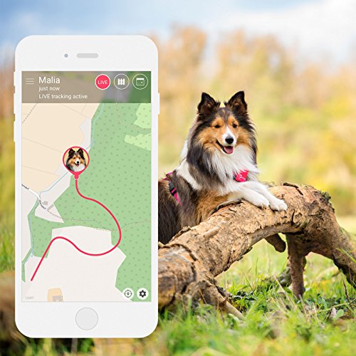 Rastreador Tractive GPS para perros y gatos - resistente al agua se ajusta al collar, color rosa