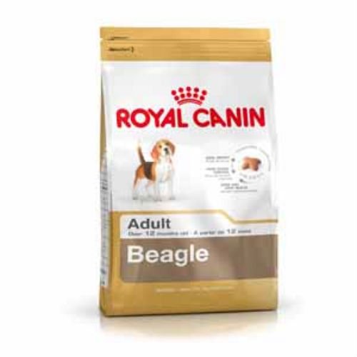Royal Canin Beagle - Comida para perros (3 kg)