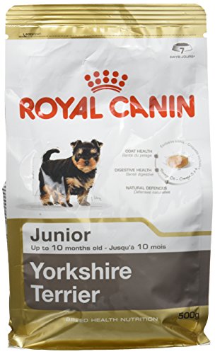 Royal Canin C-08590 S.N. Yorkshire Junior - 500 gr