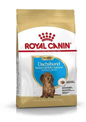 ROYAL CANIN Dachshund Junior 30 Dry Mix 1,5 kg