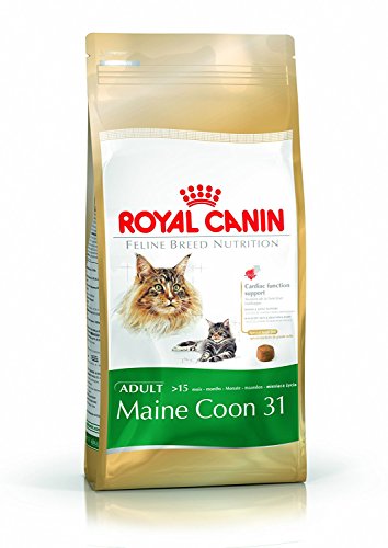Royal Canin Feline Cat Maine Coon 31 4Kg seco