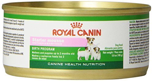 Royal canin Starter espuma for Mother and Baby Dog canned Dog Food, 5.8-ounce, 24-can by Royal Canin (English Manual)