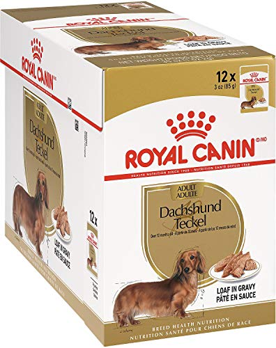 ROYAL CANIN Teckel Alimento húmedo para Perros Salchicha Dachshund - Caja Completa 12 x Sobres 85 gr.