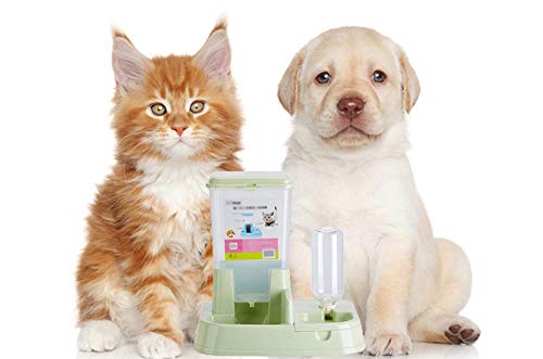 Scrox 1X 2 en 1 Dispensador automático de Alimentos para Perros y Gatos Combinación práctica Multifuncional de Alimentos y bebederos