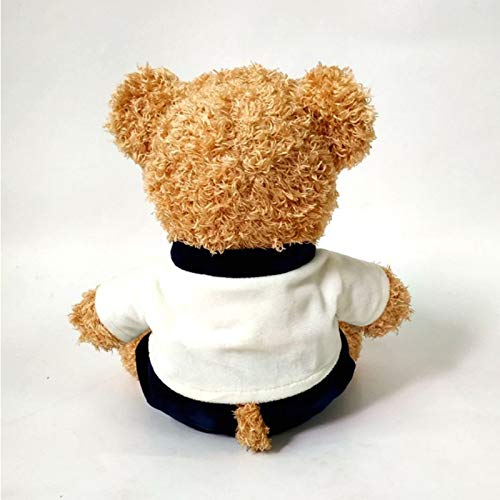 shenlanyu Juguete de Peluche Ventas Directas del Fabricante Juguetes De Peluche Ropa De Dibujos Animados Teddy Bear Doll Custom Children Doll Regalos Creativos