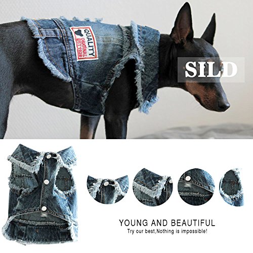 SILD - Chaqueta Vaquera con Capucha para Perros medianos y pequeños, diseño Vintage Desgastado, Color Azul (XS)