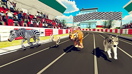 simulador de carreras de animales salvajes: juego de carreras de derby de zoológico para niños