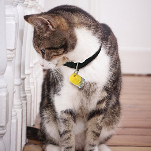 Staywell PetSafe Infrarrojos Acceso Collar