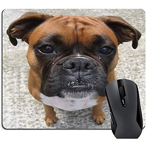 Sweet Pet Animal Cute Boxer Dog Puppy con Funny Expressive Face Gaming Mouse Pad