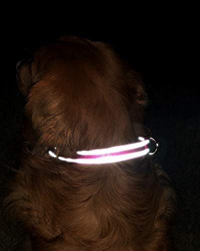 TagME Collar de Perro Reflectante Personalizado,Placa de Acero Inoxidable,Grabado con Nombre y Número de Teléfono,Deslizar en Las Etiquetas de Identificación del Perro,Rosado