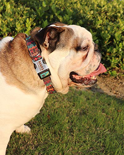 TagME Collar Perro Personalizado, Collar de Perro para Perros Medianos con Hebilla Grabada,Collares Hunter Green para Perros Machos