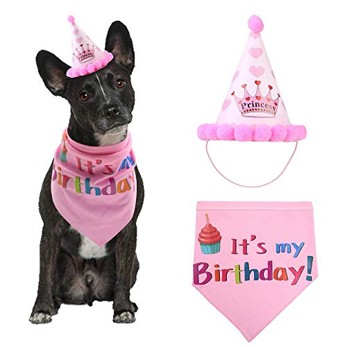 TEEPAO - Juego de gorro y bandana para perro - AOLVO ajustable para mascota con sombrero de feliz cumpleaños y pañuelo para decoración de fiesta - Príncipe y feliz cumpleaños