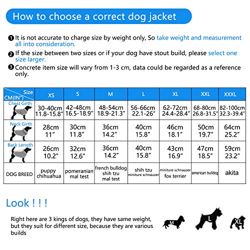 ThinkPet Chaqueta Perro Reversible Ropa para Perro Escocesa Abrigo Perro Impermeable de Cuadros británicos para Perros Grandes