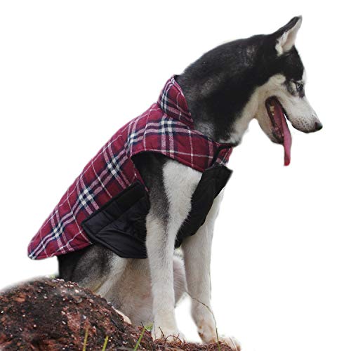 ThinkPet Chaqueta Perro Reversible Ropa para Perro Escocesa Abrigo Perro Impermeable de Cuadros británicos para Perros Grandes
