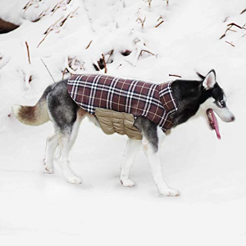 ThinkPet Chaqueta Perro Reversible Ropa para Perro Escocesa Abrigo Perro Impermeable de Cuadros británicos para Perros pequeños