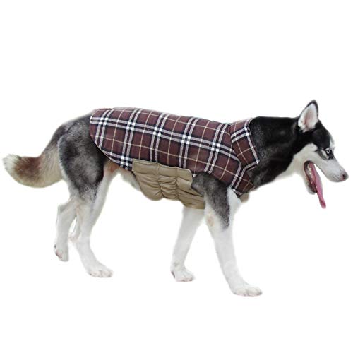 ThinkPet Chaqueta Perro Reversible Ropa para Perro Escocesa Abrigo Perro Impermeable de Cuadros británicos para Perros pequeños