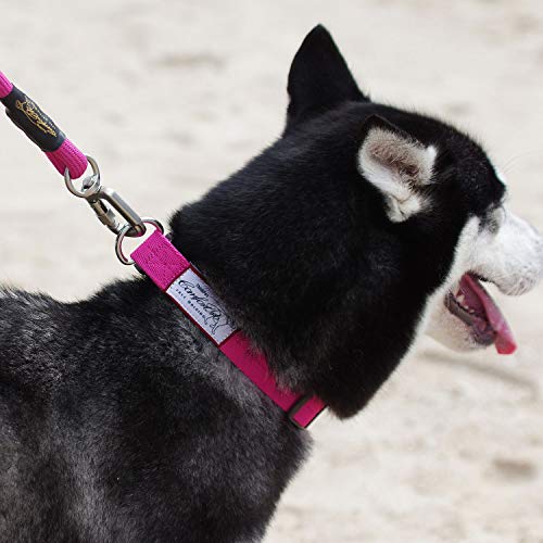 ThinkPet ComfortPro Kit de Correa y Collar Perro Conjunto Correa de Cuerda Resistente y Collar Ajustable para Perros Mediano Grande para Paseo