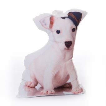 Topes para Puerta de Mascotas, Perros, Gatos, Cachorros, Regalo Ideal para los Amantes de los Animales o Accesorio para el hogar