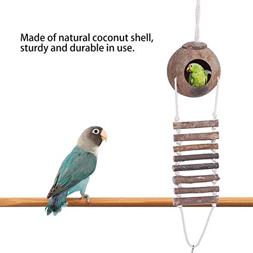 TOPINCN Concha de Coco Nido de Ave Cría Natural Nido para Mascotas Casa de escondite de Loros con Escalera de Cuerda para Aves y pequeños Animales de Juguete 2 tamaños(# 2)