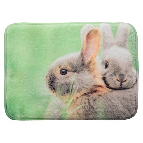Trixie Colchoneta para Conejos, 39 × 29 cm