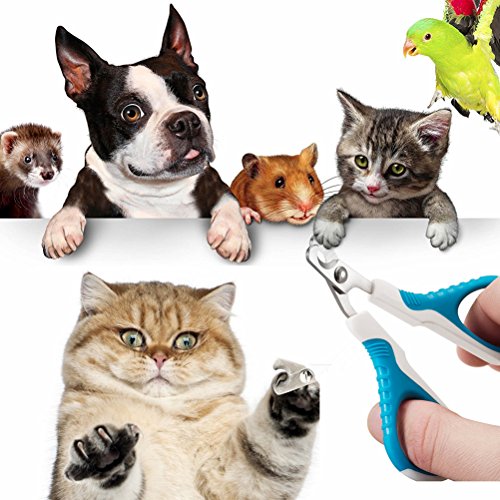 UEETEK Perro Clavo Clippers Tijeras cortadoras de Acero Inoxidable para Gato pequeño Perro Raza Conejos y pequeños Animales
