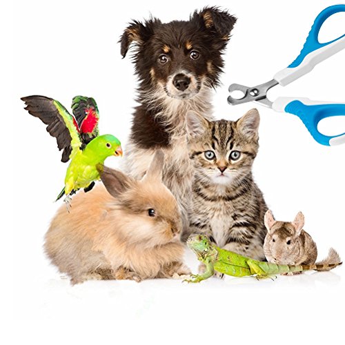 UEETEK Perro Clavo Clippers Tijeras cortadoras de Acero Inoxidable para Gato pequeño Perro Raza Conejos y pequeños Animales