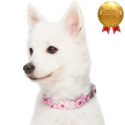 Umi. by Amazon - Made Well - Collar para perros con estampado de flores L, cuello 45-66 cm, collares ajustables para perros (rosa)