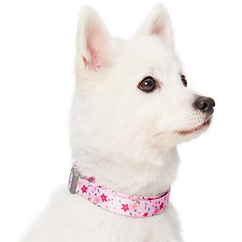 Umi. by Amazon - Made Well - Collar para perros con estampado de flores L, cuello 45-66 cm, collares ajustables para perros (rosa)