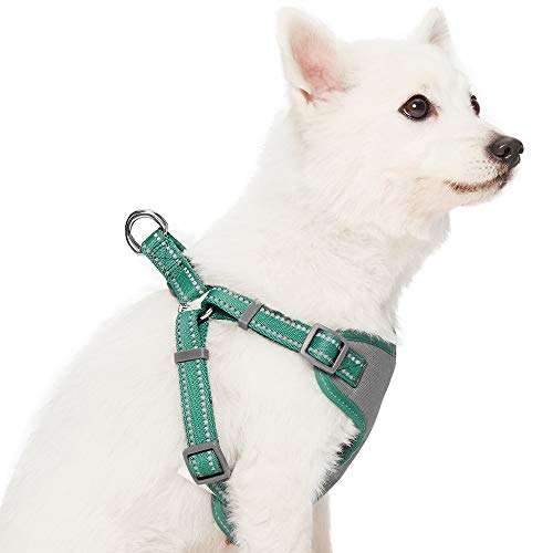 Umi. by Amazon - Pastel - Arnés tipo chaleco para perros reflectante L, contorno del pecho 74-98 cm, arneses ajustables para perros (verde pino)
