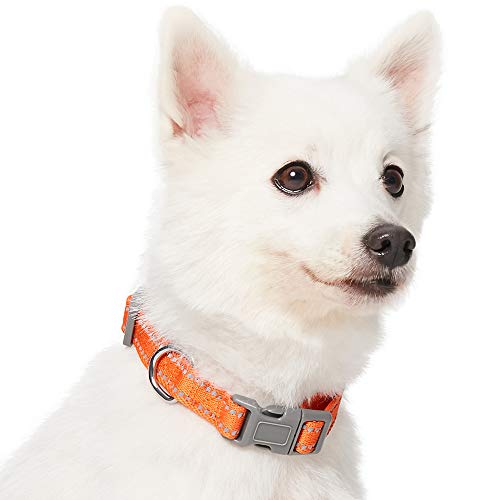 Umi. by Amazon - Pastel - Collar para perros L, cuello 45-66 cm, collares ajustables para perros (naranja calabaza)