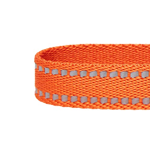 Umi. by Amazon - Pastel - Collar para perros L, cuello 45-66 cm, collares ajustables para perros (naranja calabaza)