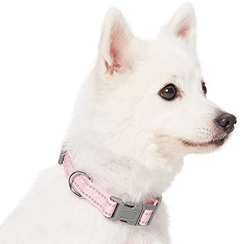 Umi. by Amazon - Pastel - Collar para perros M, cuello 37-50 cm, collares ajustables para perros (rosa bebé)