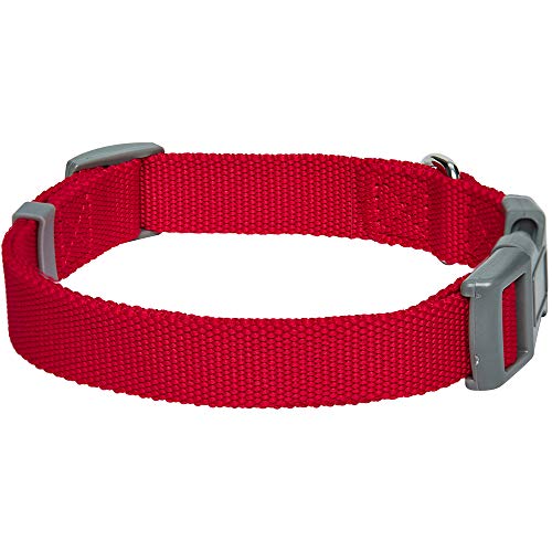 Umi. Essential Classic - Collar para perros L, cuello 45-66 cm, collares ajustables para perros (rojo)