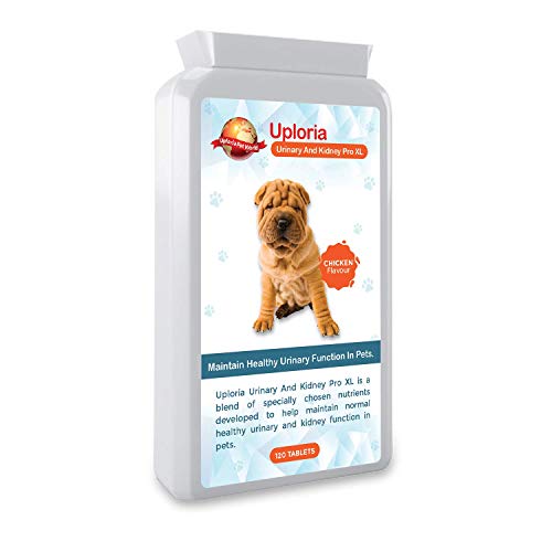Uploria Pet World Antibióticos para ITU para Perros Y Gatos Apoyo Urinario Y Renal Diario para La Salud del TU En Gatos