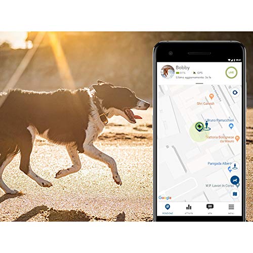 V-Pet Tracker por Vodafone, un Kippy EVO GPS Perro, Gato y rastreador de Mascotas con Seguimiento GPS y monitoreo de Actividad - V-Sim Incluido