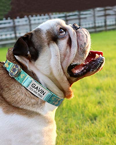 Vcalabashor Collar de Perro Personalizado, Placa de Acero Inoxidable grabada con Nombre y Número de Teléfono del Perro,Turquesa Medio