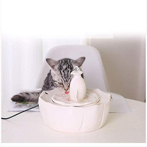Water Smart Cat fuente del animal doméstico de cerámica de circulación automática de bebida dispensador Drinkwell Con prevenir la piel seca, la que quema Diseño ultra silencioso agua de la taza 1.2L v