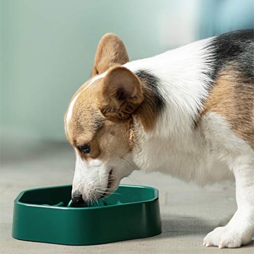 WCJ Alimentador Tazón for el Perro Mascota Lenta Comer Comedero de Respetuoso del Medio Ambiente Duradero no tóxico Prevención de Asfixia Saludable Diseño Cuenco del Perro casero para
